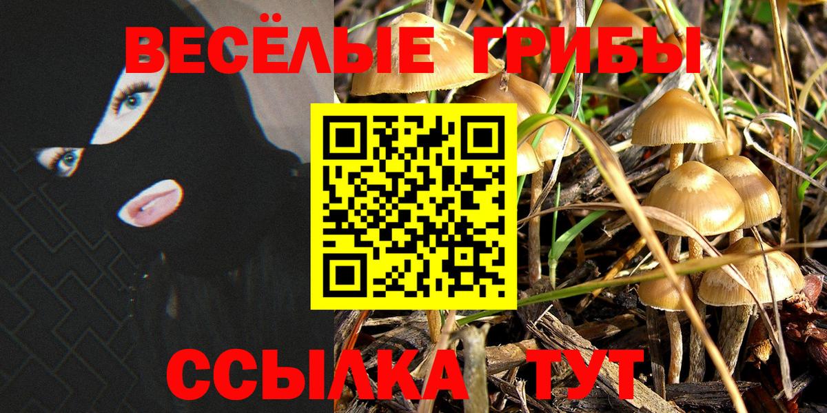 Борзя  Галлюциногенные грибы GOLDEN TEACHER  Вход с VPN 